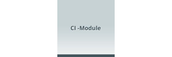 CI-Module